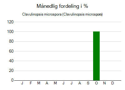 Clavulinopsis microspora - månedlig fordeling