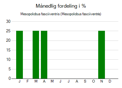 Mesopolobus fasciiventris - månedlig fordeling