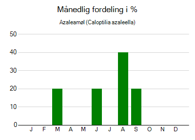 Azaleamøl - månedlig fordeling