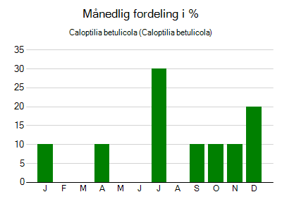 Caloptilia betulicola - månedlig fordeling