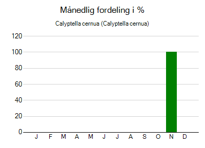Calyptella cernua - månedlig fordeling