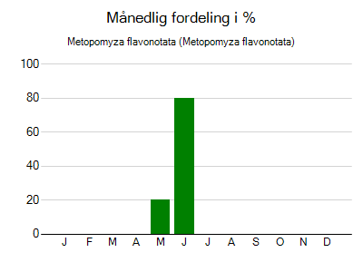 Metopomyza flavonotata - månedlig fordeling