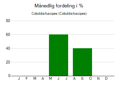 Coboldia fuscipes - månedlig fordeling