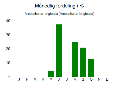 Arocephalus longiceps - månedlig fordeling