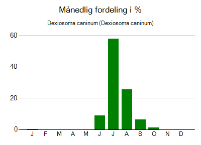 Dexiosoma caninum - månedlig fordeling