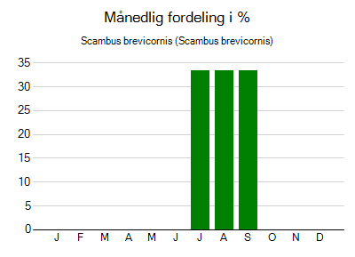 Scambus brevicornis - månedlig fordeling