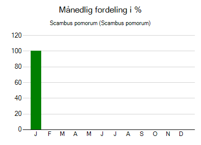 Scambus pomorum - månedlig fordeling