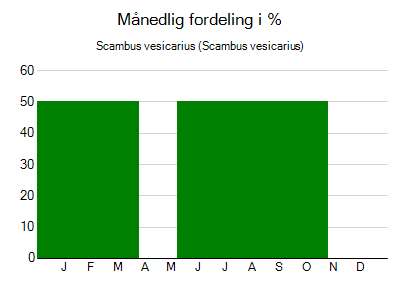 Scambus vesicarius - månedlig fordeling