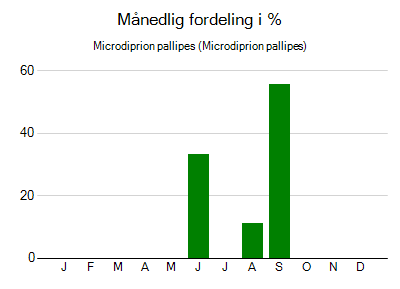 Microdiprion pallipes - månedlig fordeling