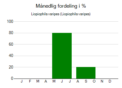 Liopiophila varipes - månedlig fordeling