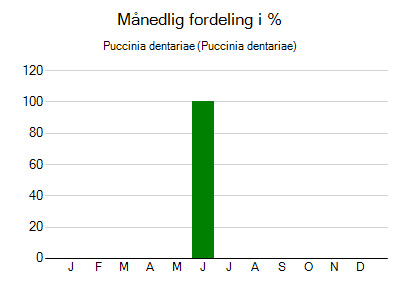 Puccinia dentariae - månedlig fordeling