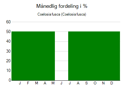 Coelosia fusca - månedlig fordeling