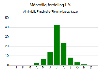 Almindelig Pimpinelle - månedlig fordeling