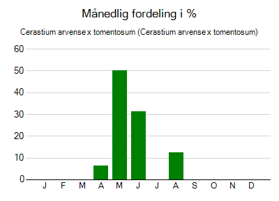Cerastium arvense x tomentosum - månedlig fordeling