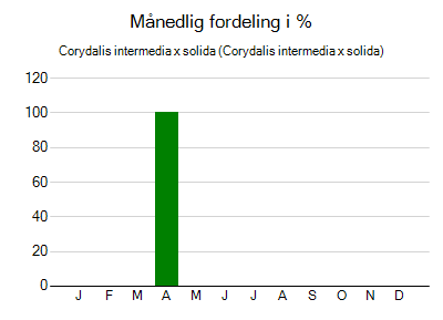 Corydalis intermedia x solida - månedlig fordeling