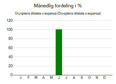 Dryopteris dilatata x expansa - månedlig fordeling
