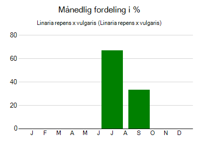 Linaria repens x vulgaris - månedlig fordeling