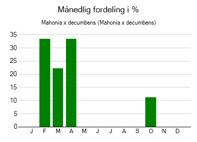 Mahonia x decumbens - månedlig fordeling