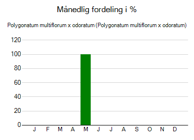 Polygonatum multiflorum x odoratum - månedlig fordeling
