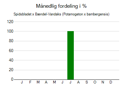 Spidsbladet x Bændel-Vandaks - månedlig fordeling