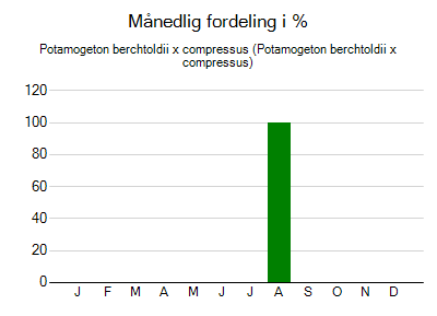 Potamogeton berchtoldii x compressus - månedlig fordeling