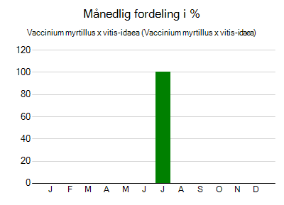 Vaccinium myrtillus x vitis-idaea - månedlig fordeling