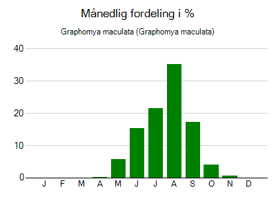 Graphomya maculata - månedlig fordeling