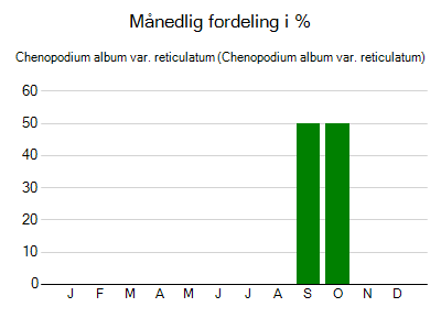 Chenopodium album var. reticulatum - månedlig fordeling