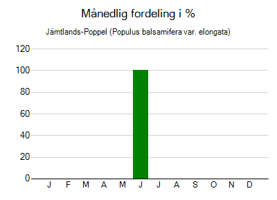 Jämtlands-Poppel - månedlig fordeling