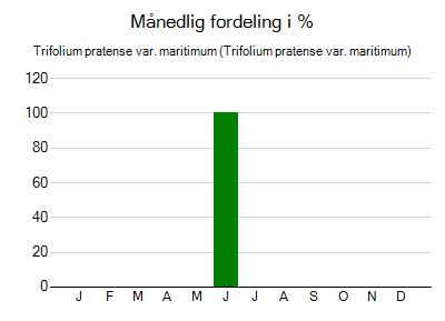 Trifolium pratense var. maritimum - månedlig fordeling