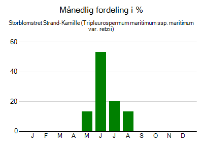 Storblomstret Strand-Kamille - månedlig fordeling