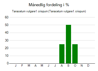 Tanacetum vulgare f. crispum - månedlig fordeling
