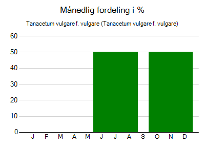 Tanacetum vulgare f. vulgare - månedlig fordeling