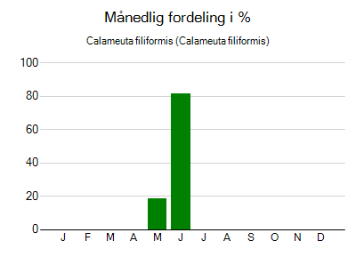 Calameuta filiformis - månedlig fordeling