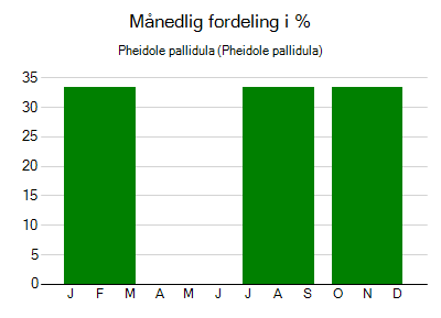 Pheidole pallidula - månedlig fordeling
