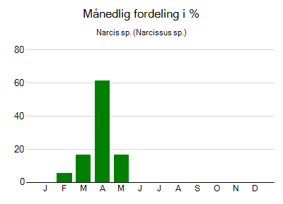 Narcis sp. - månedlig fordeling