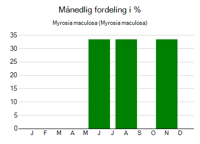 Myrosia maculosa - månedlig fordeling
