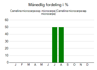 Camelina microcarpa ssp. microcarpa - månedlig fordeling