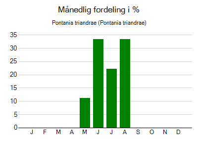 Pontania triandrae - månedlig fordeling