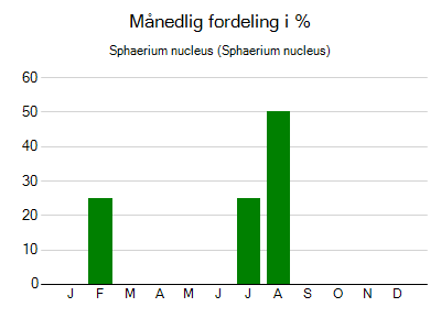 Sphaerium nucleus - månedlig fordeling