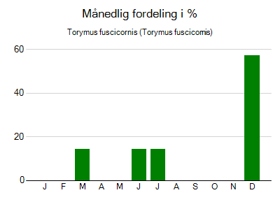 Torymus fuscicornis - månedlig fordeling