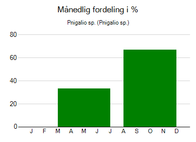 Pnigalio sp. - månedlig fordeling