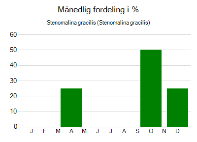 Stenomalina gracilis - månedlig fordeling