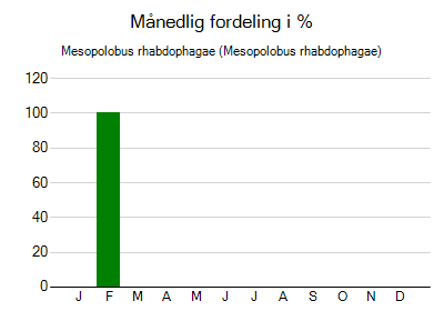 Mesopolobus rhabdophagae - månedlig fordeling