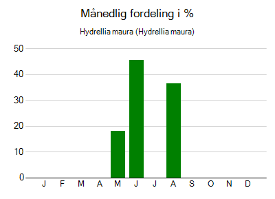 Hydrellia maura - månedlig fordeling