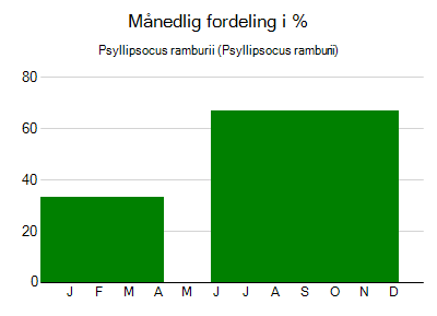 Psyllipsocus ramburii - månedlig fordeling
