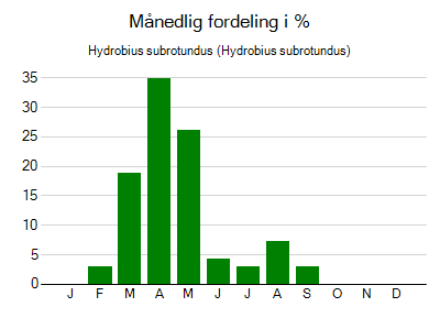 Hydrobius subrotundus - månedlig fordeling