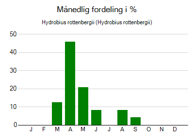Hydrobius rottenbergii - månedlig fordeling