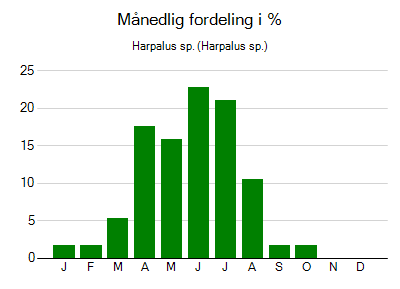 Harpalus sp. - månedlig fordeling