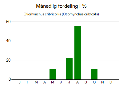 Otiorhynchus cribricollis - månedlig fordeling